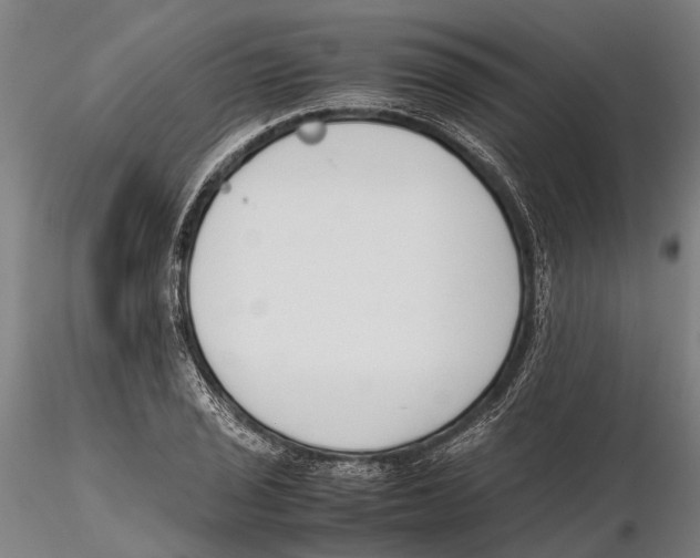 X0000115721029200912101423