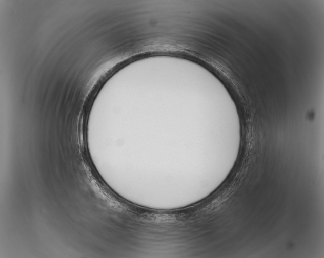 X0000115721030200912101423