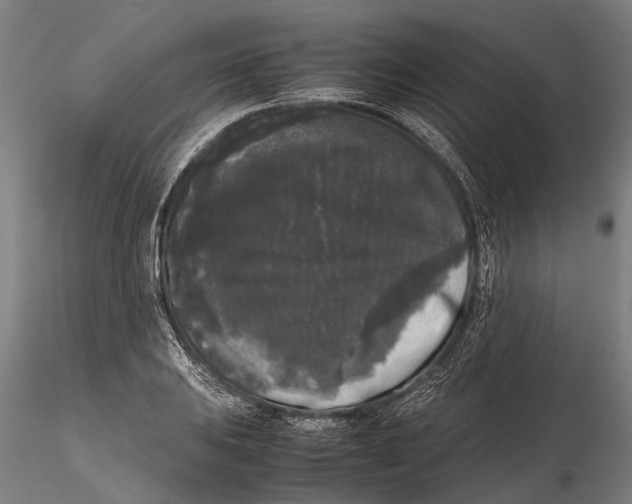 X0000115721031200912101424