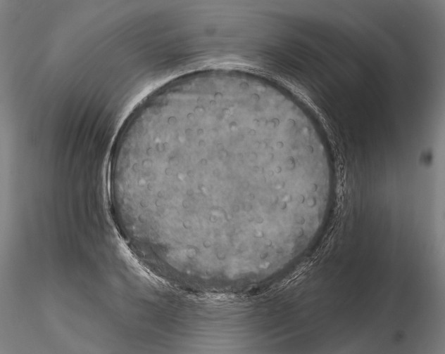 X0000115721032200912101424