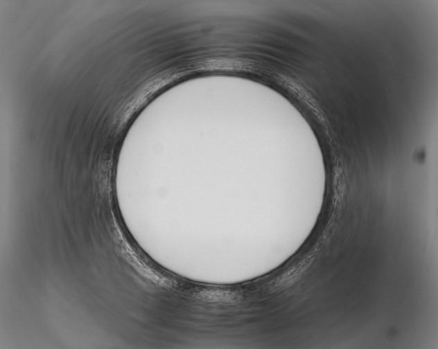 X0000115721033200912101424