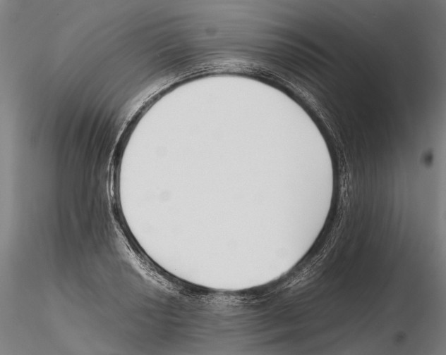 X0000115721034200912101424