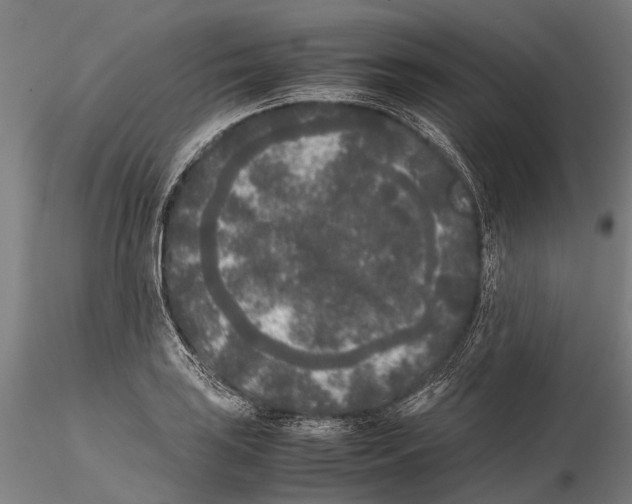 X0000115721035200912101424