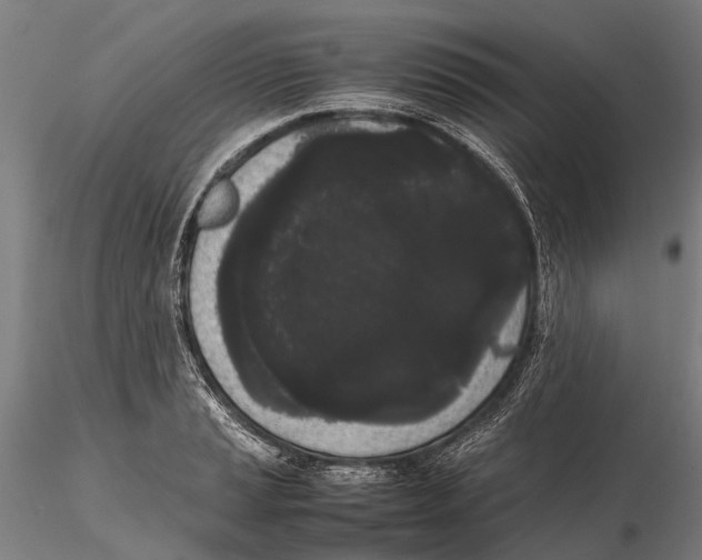 X0000115721037200912101424