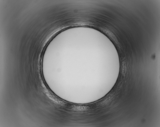 X0000115721039200912101424