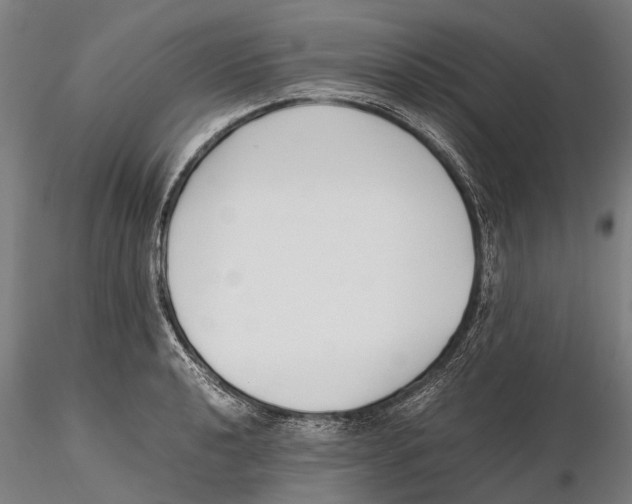 X0000115721040200912101424