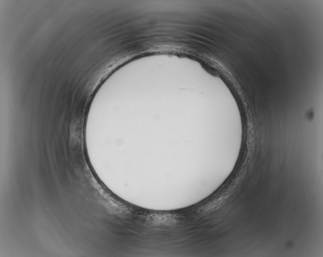 X0000115721041200912101424