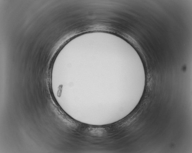 X0000115721043200912101424
