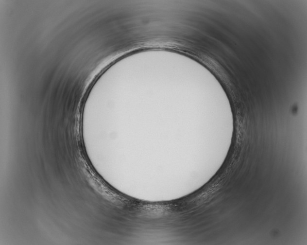 X0000115721044200912101424