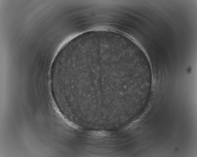 X0000115721045200912101424