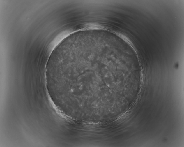 X0000115721047200912101424