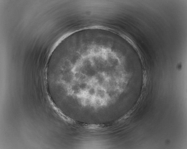 X0000115721048200912101424