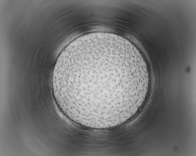 X0000115721049200912101424