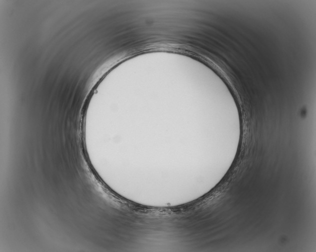X0000115721050200912101424