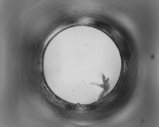 X0000115721052200912101424