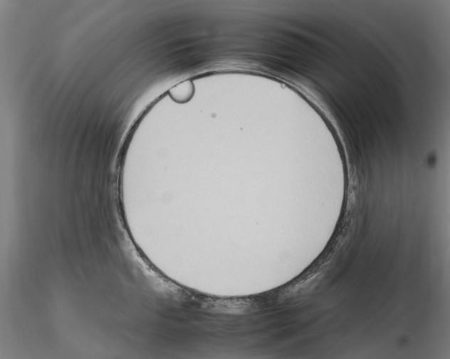 X0000115721053200912101424