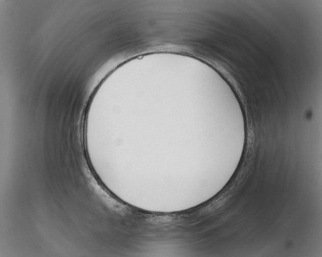 X0000115721054200912101424