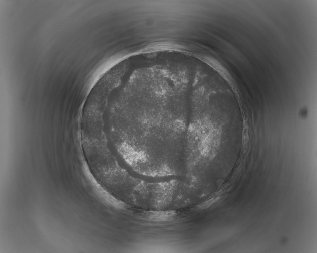 X0000115721055200912101424