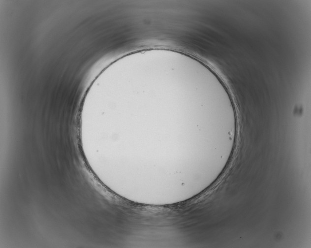 X0000115721056200912101424