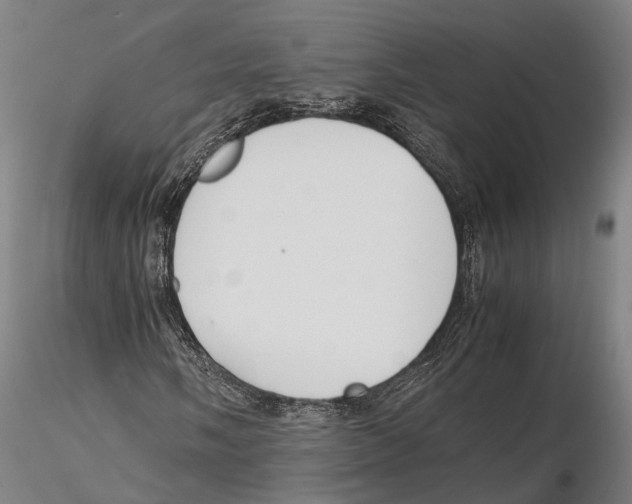 X0000115721058200912101423