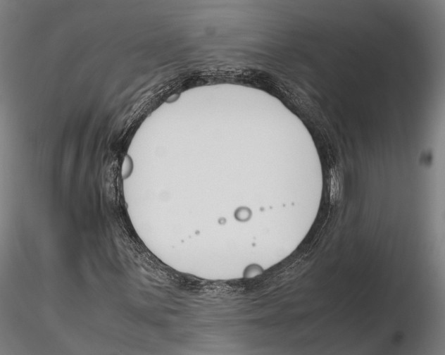 X0000115721059200912101423
