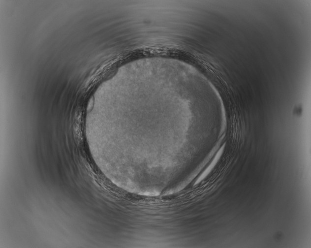 X0000115721060200912101423