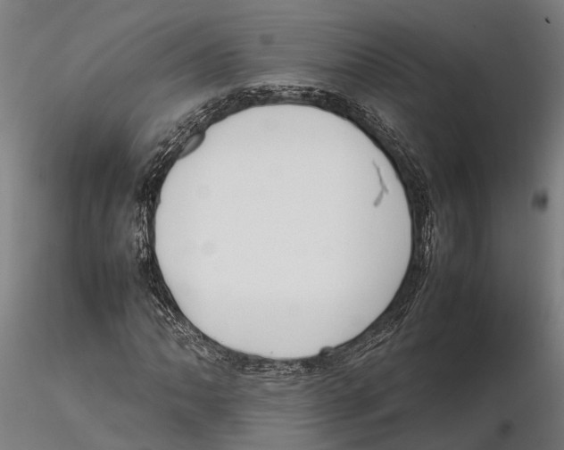 X0000115721062200912101423