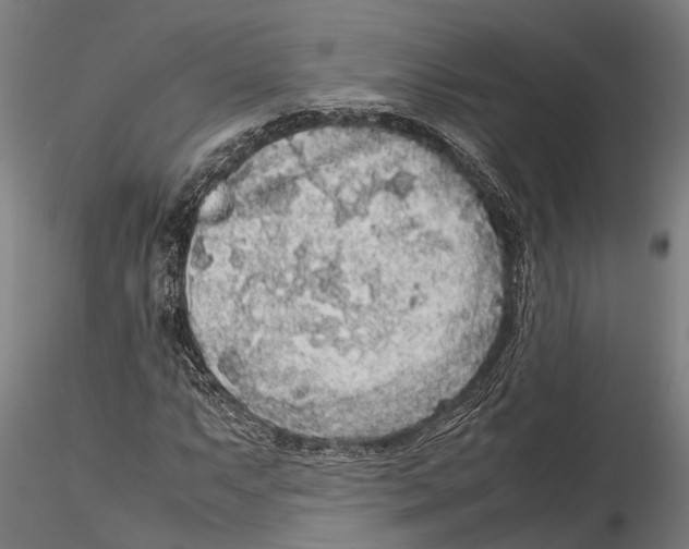 X0000115721063200912101423