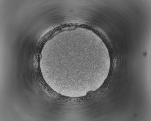 X0000115721064200912101423
