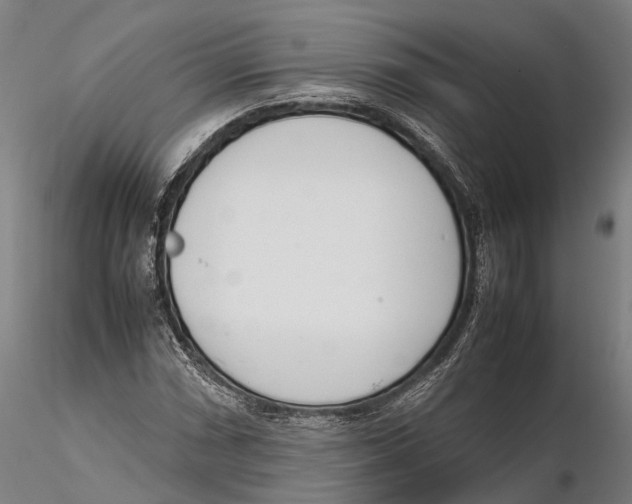 X0000115721066200912101423