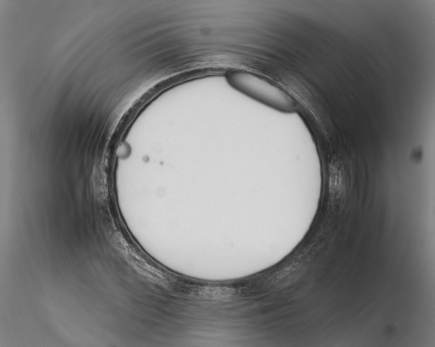 X0000115721068200912101423