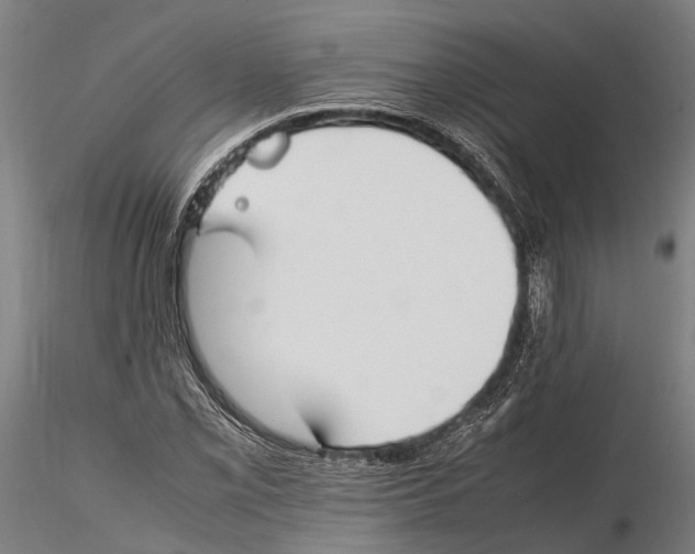 X0000115721069200912101423