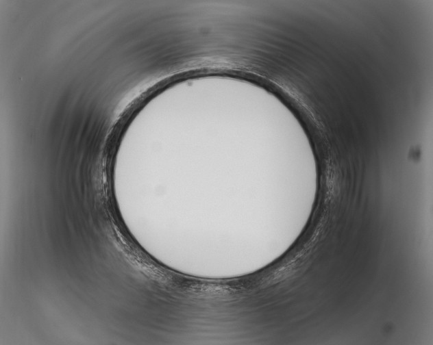 X0000115721070200912101423