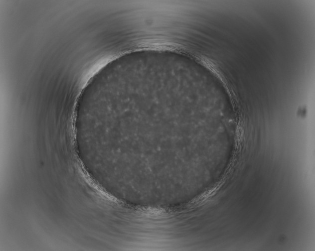X0000115721071200912101423