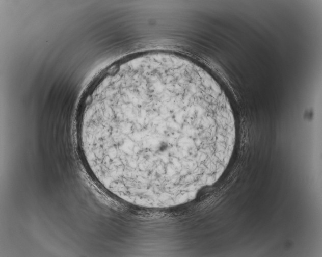 X0000115721072200912101423
