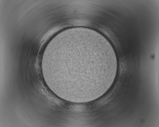 X0000115721074200912101423