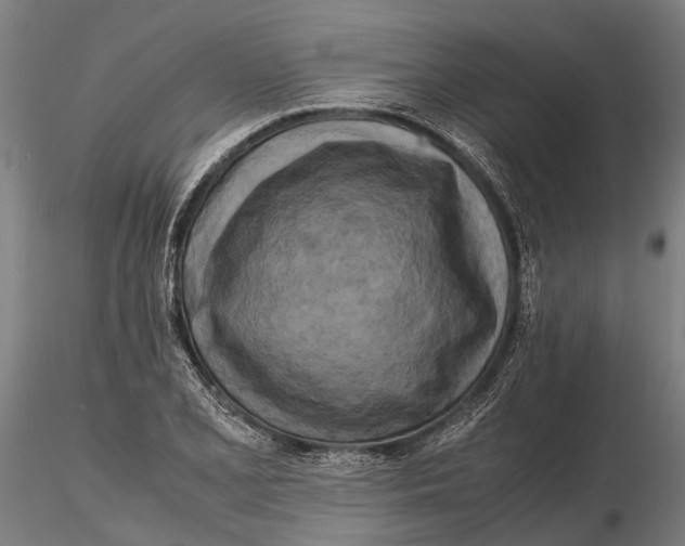 X0000115721077200912101423