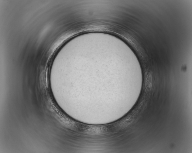 X0000115721078200912101423