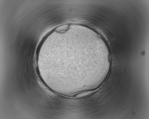 X0000115721080200912101423