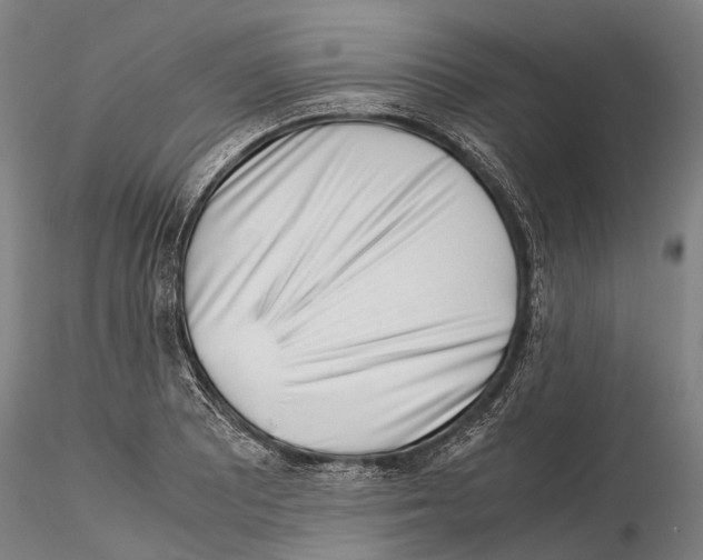 X0000115721081200912101423