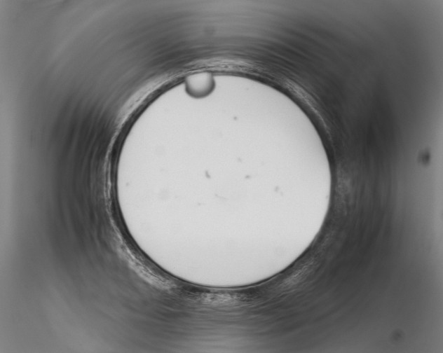 X0000115721082200912101423