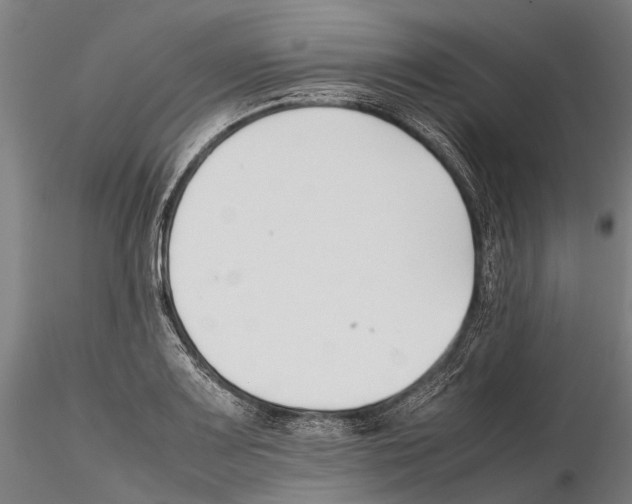 X0000115721083200912101423