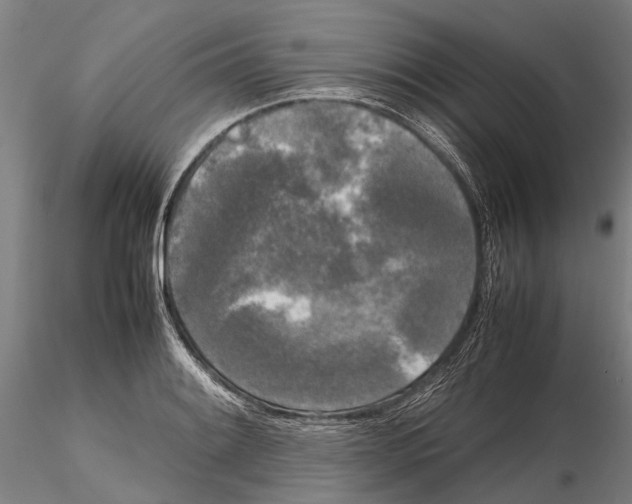 X0000115721084200912101423