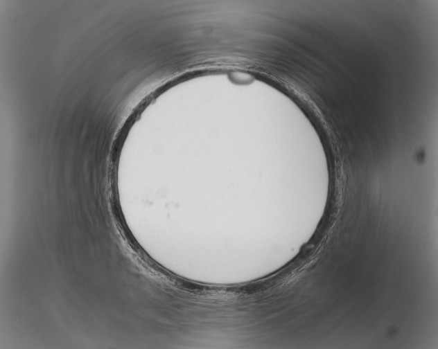 X0000115721085200912101423