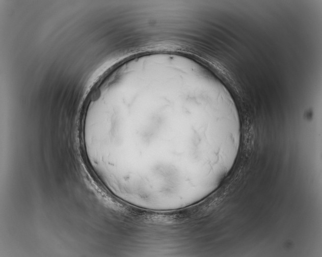 X0000115721086200912101423