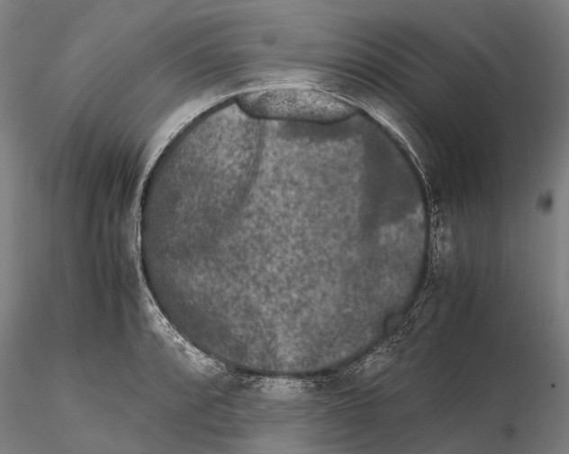 X0000115721088200912101423