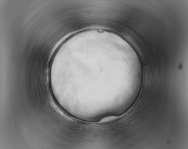 X0000115721092200912101422