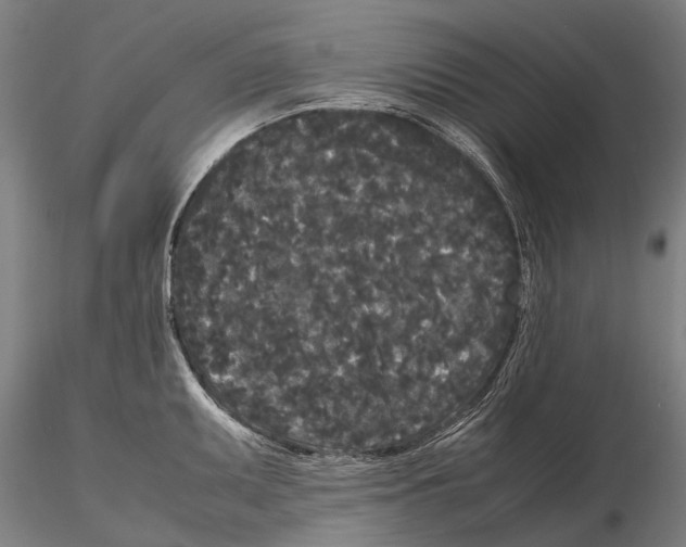 X0000115721095200912101422