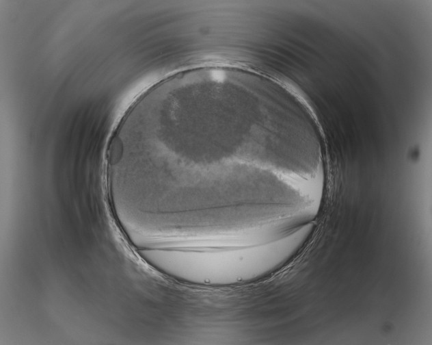 X0000115721096200912101422