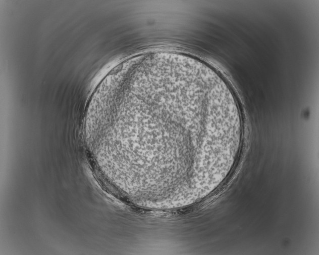 X0000115721097200912101422